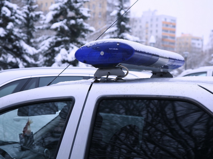 По факту избиения таксистки в Дмитрове возбуждено уголовное дело