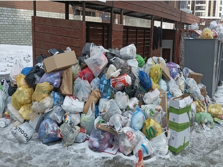 В Барнауле жители ЖК «Новая высота» жалуются на горы мусора