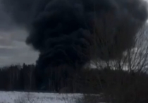 В Иваново при крушении самолета погибли пять летчиков