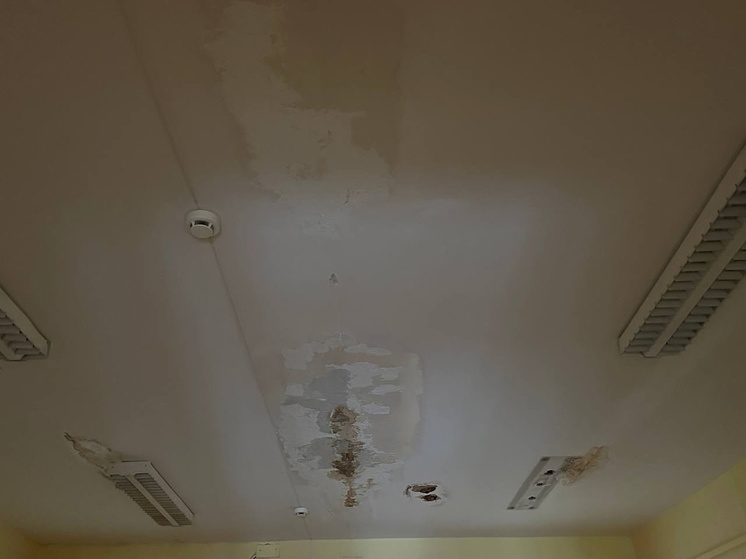 Соцсети: Потолок осыпается на головы детям в детском саду Петрозаводска