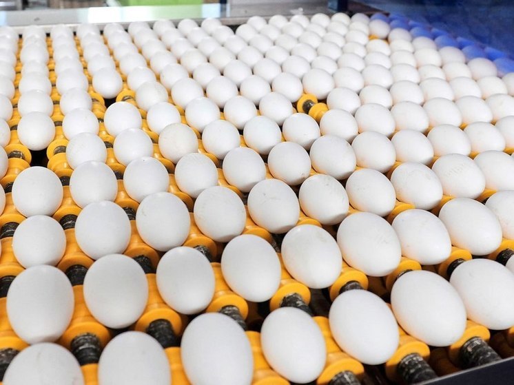Цены на куриные яйца в Кировской области сократились на 11,4%