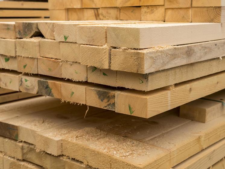 Дагестан планирует запустить производство деревянных поддонов