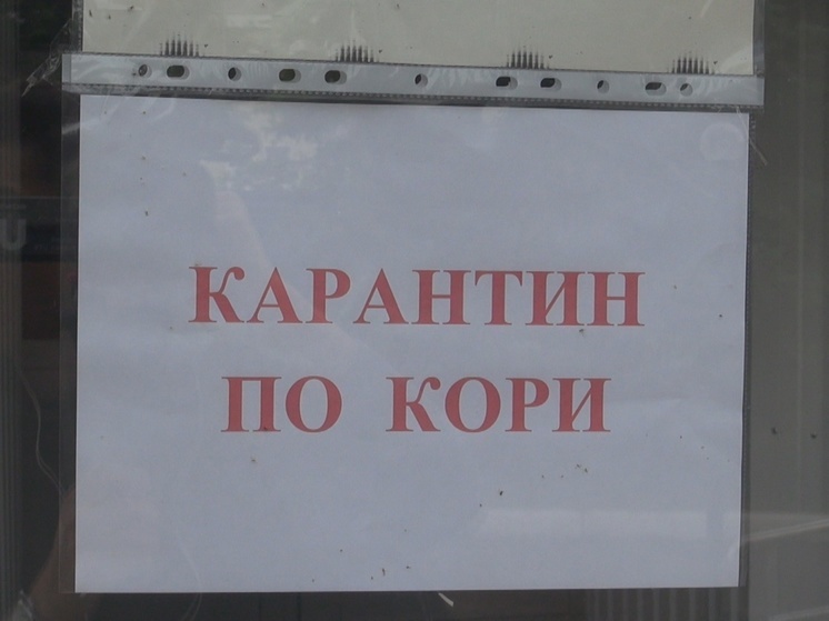 В Ярославле из-за кори закрыли на карантин колледж
