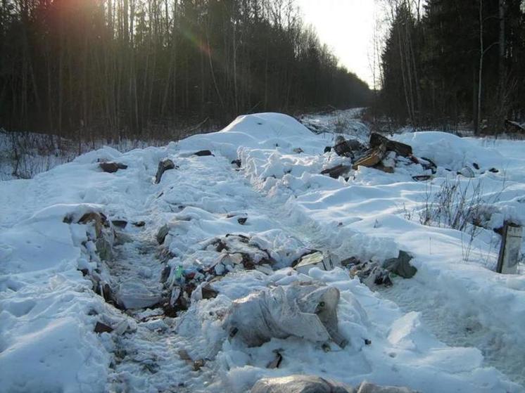 Житель Пензенской области заплатит штраф за выброс строительного мусора в лесу