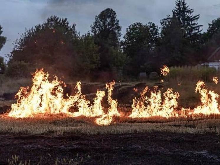 В Тамбовской области идет подготовка к пожароопасному сезону