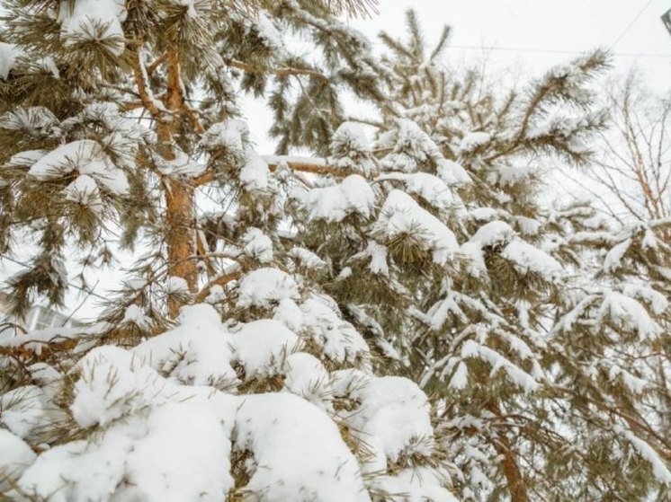 В Амурской области ожидается весенний мокрый снег