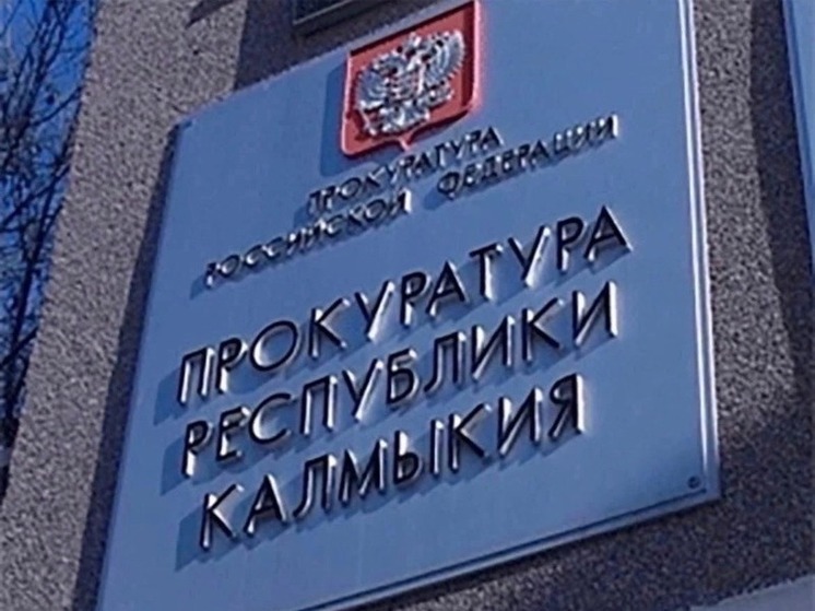 Жителя райцентра Калмыкии осудили за хранение взрывчатки