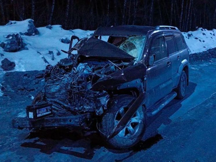 Четыре машины столкнулись на трассе М-5 «Урал» в Луховицах