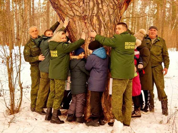 Два старовозрастных дерева Серпухова могут внести в национальный реестр
