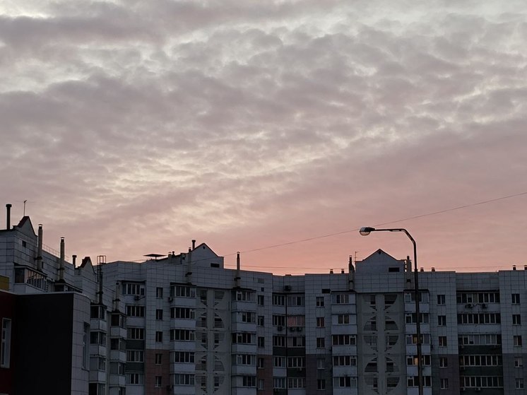 Белгородцам обещают потепление до +8° в четверг