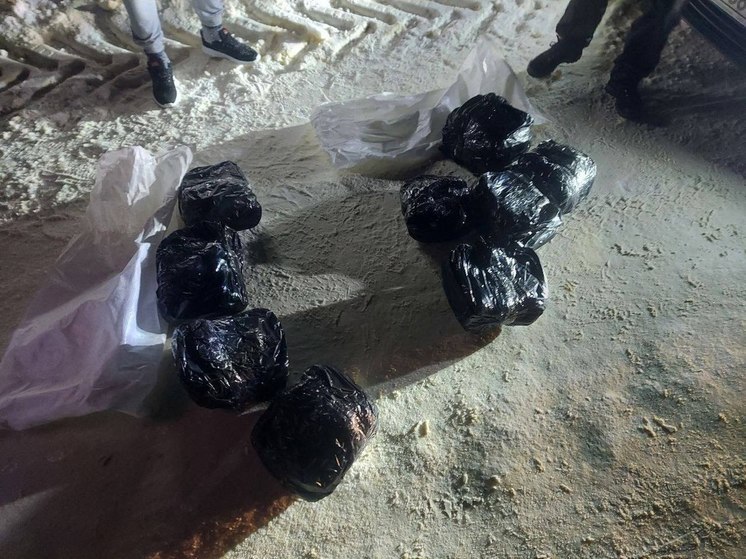 В Пензенской области задержали наркодилера с 23,6 кг наркотического вещества