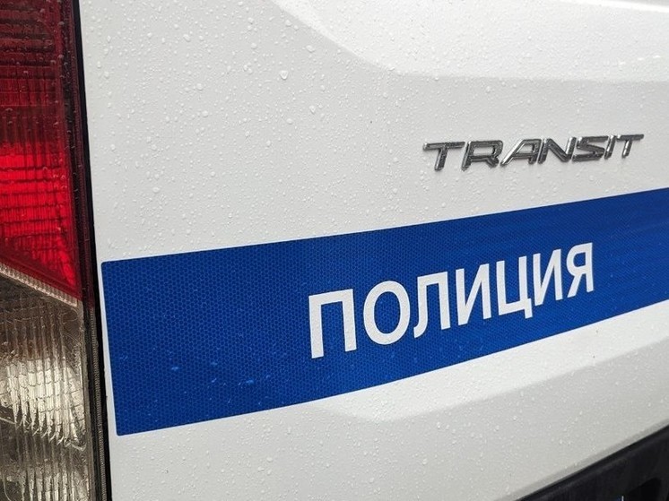 В дни выборов в Новгородской области будут дежурить 2,7 тысячи полицейских