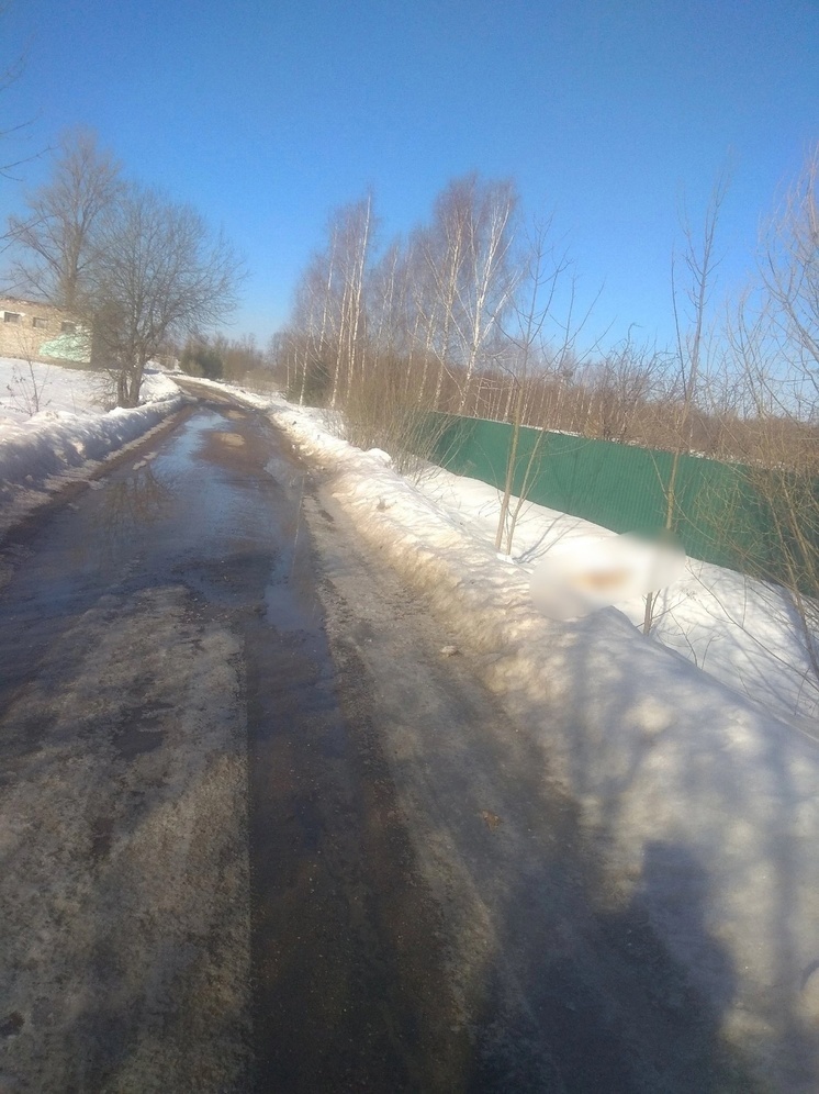 В деревне в Тверской области жители ругаются из-за трупа на обочине