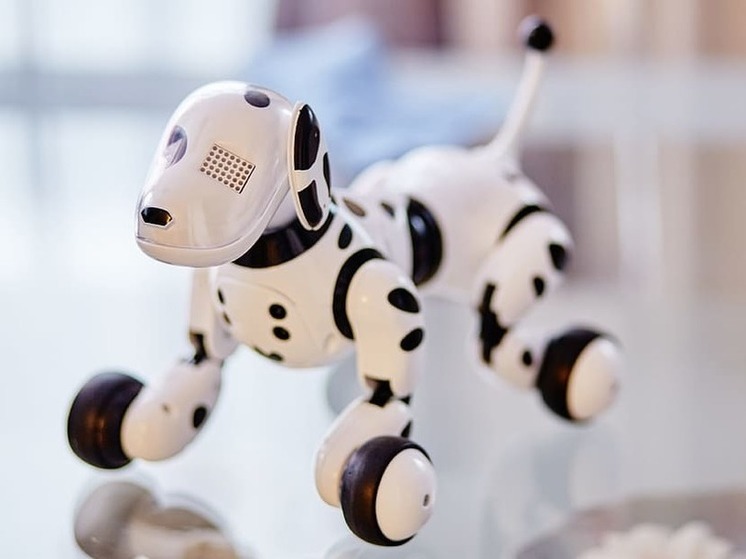 Юные мариупольцы примут участие в фестивале "Робоарт 2024"