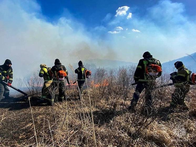 Администрация Надеждинского района Приморья разъяснила ситуацию с пожарами на полях