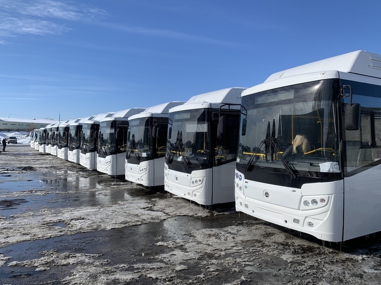 Автопарк Петропавловска-Камчатского получил 10 новых автобусов