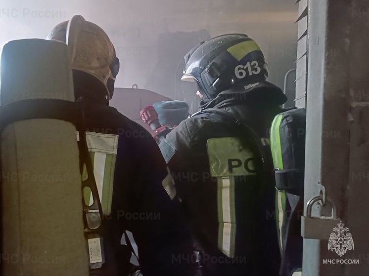 Костромские пожарные ликвидировали пожар на заводе цементно-стружечных плит