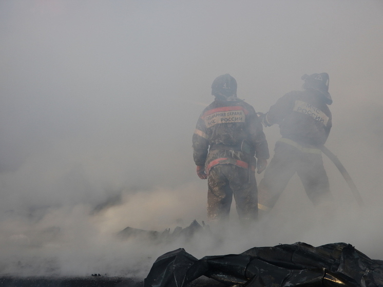 Пожар травы произошел возле станции Лесной в Читинском районе