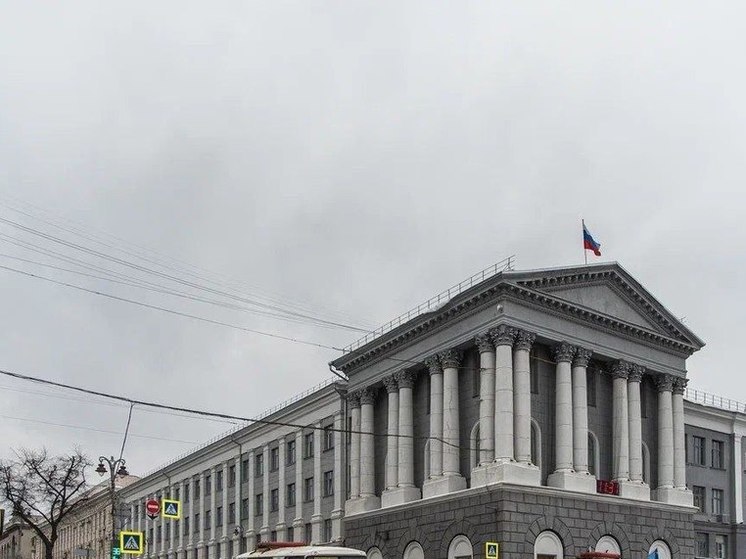 В Курске женщины пожаловались мэру на бродячих собак с Магистрального проезда