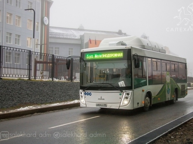 В Салехарде проводят проверку по жалобе об оставленных на морозе маленьких пассажирах автобуса