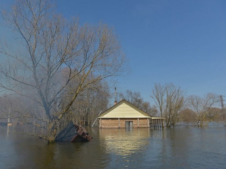 В зону риска затопления попали 25 низководных мостов Воронежской области