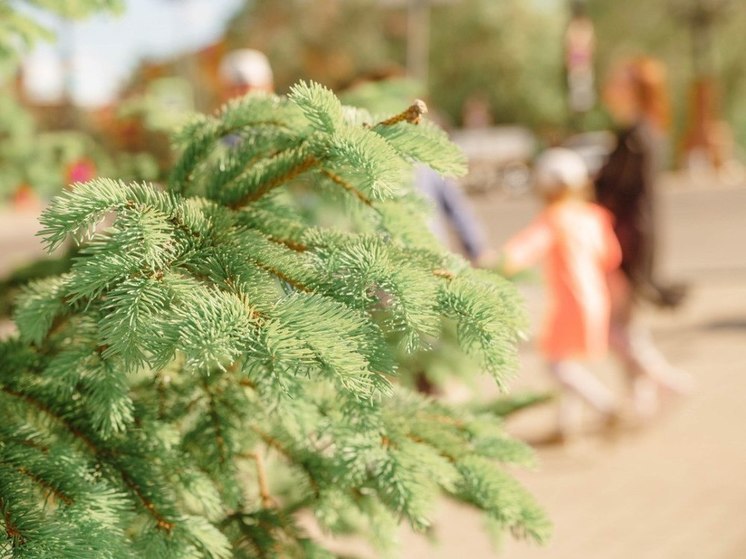 В Комсомольске-на-Амуре пройдет ярмарка детского летнего отдыха