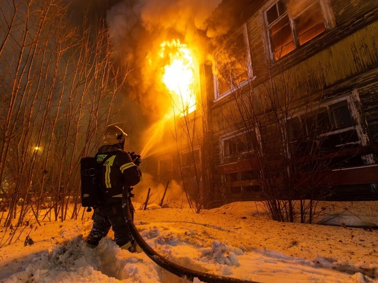 На окраине Архангельска ликвидирован пожар