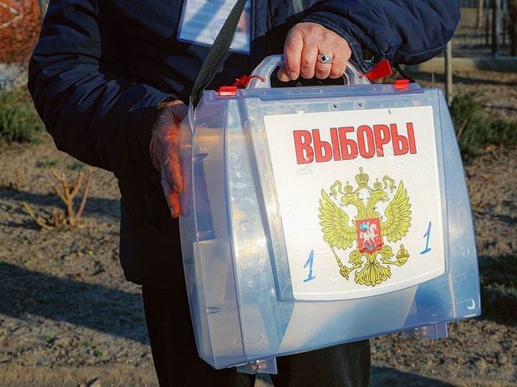 В Министерстве образования опровергли украинский фейк о принудительном голосовании