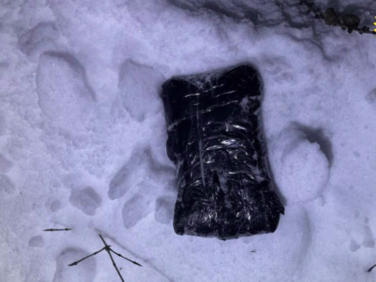 В Коломне будут судить наркокурьера за сбыт крупной партии наркотиков