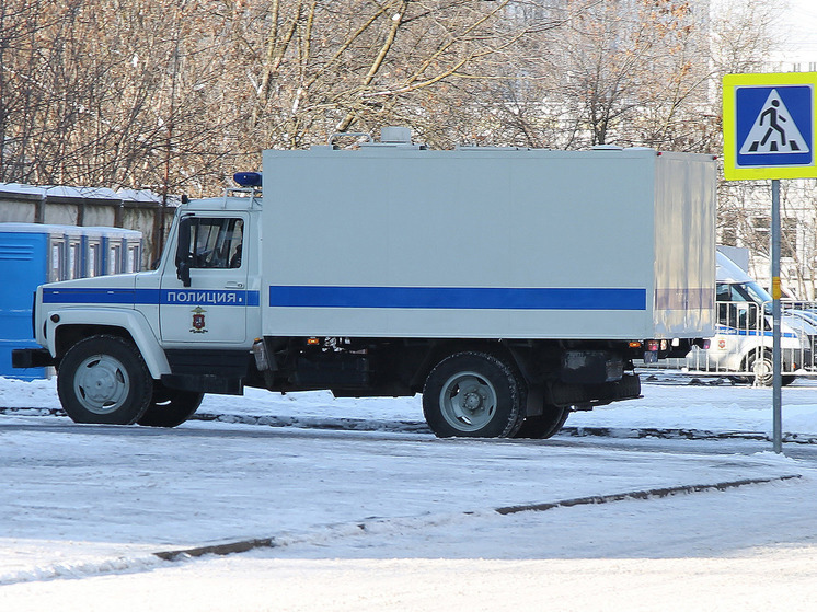 В Лобне задержали участников банды, избивавших по заказу людей