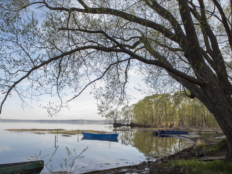 В Ярославской области обсудили восстановление Плещеева озера