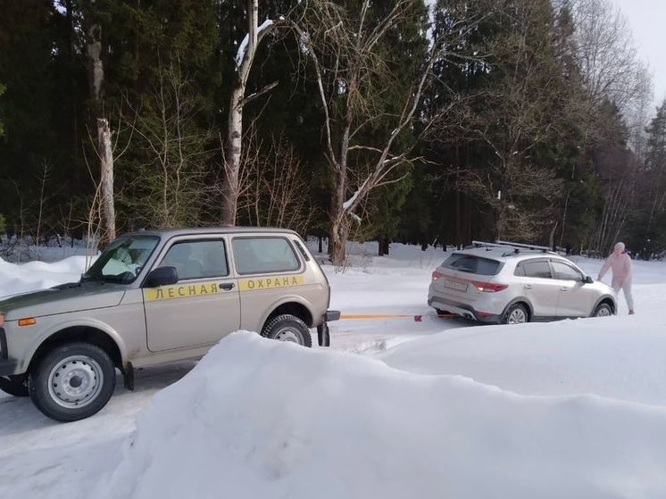 Лесничие помогли автоледи, застрявшей в сугробе под Егорьевском