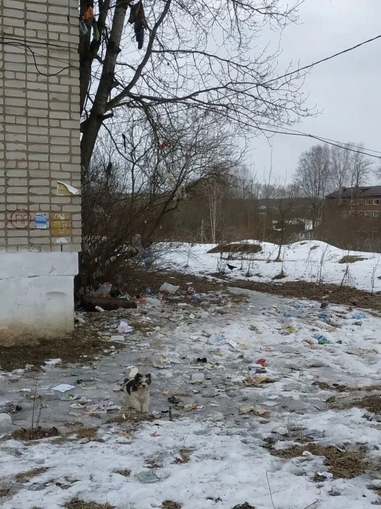 В Киржаче суд запретил приём отходов на исчерпавшем ресурс полигоне