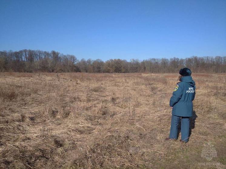 Калининградские спасатели обследуют участки, чтобы не допустить пала травы