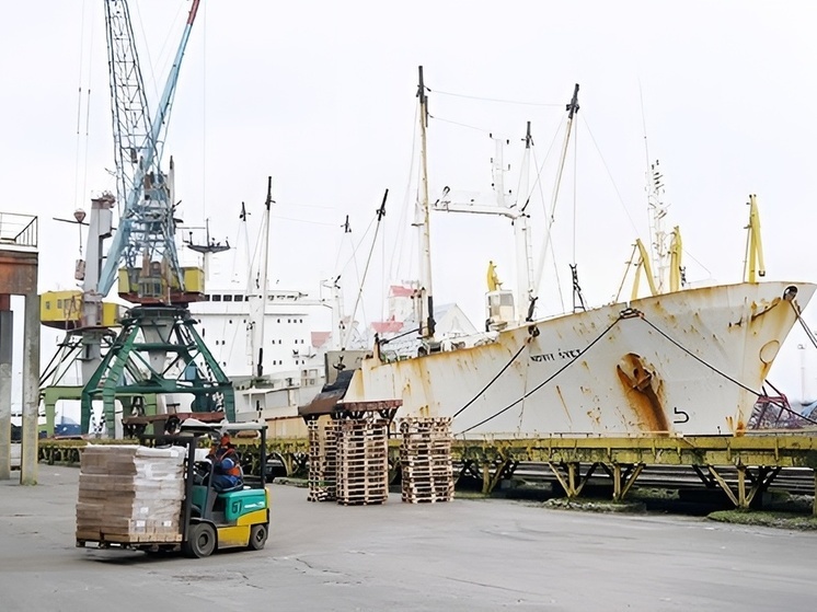 В порту Пионерского могут принять первые грузовые паромы через 4 месяца
