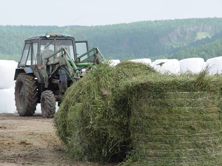 Фермер из Боханского района увеличил производство сельхозпродукции в десять раз благодаря гранту «Агростартап»