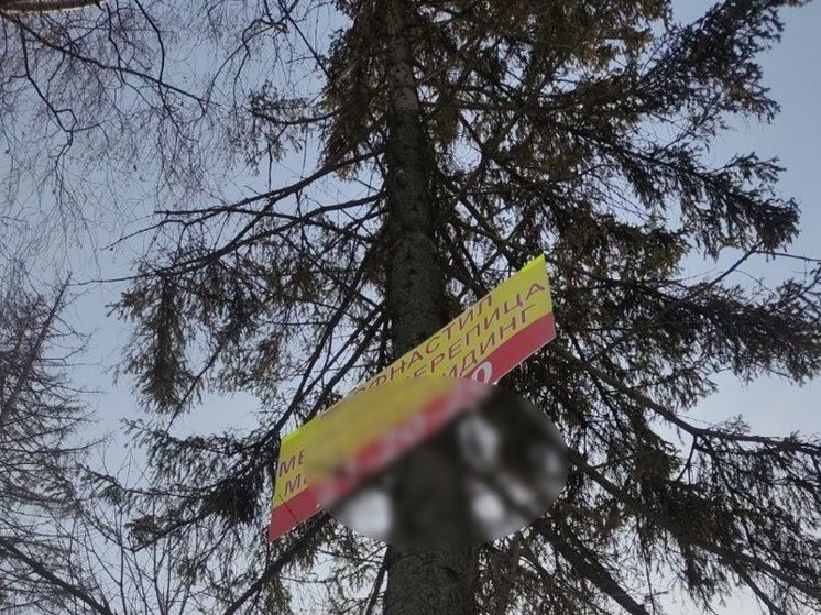 Предпринимателей Чувашии предупредили об ответственности за объявления на дереве