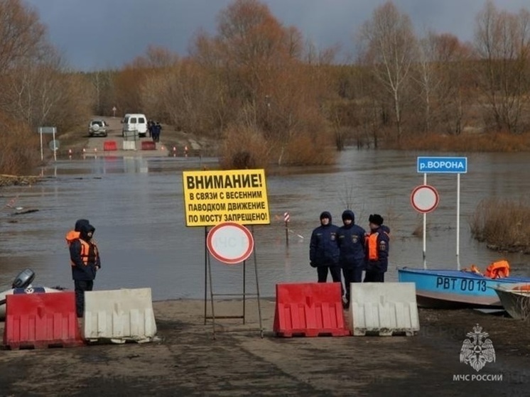 Спасатели назвали населённые пункты Воронежской области с риском затопления