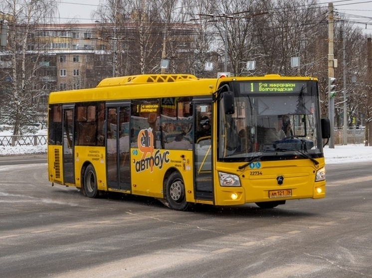 Ярославцы вновь подняли тему удобства нового городского транспорта