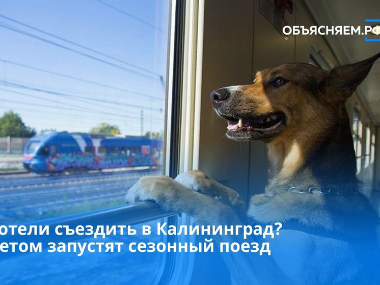Через Смоленск будет ездить сезонный поезд Калининград — Челябинск