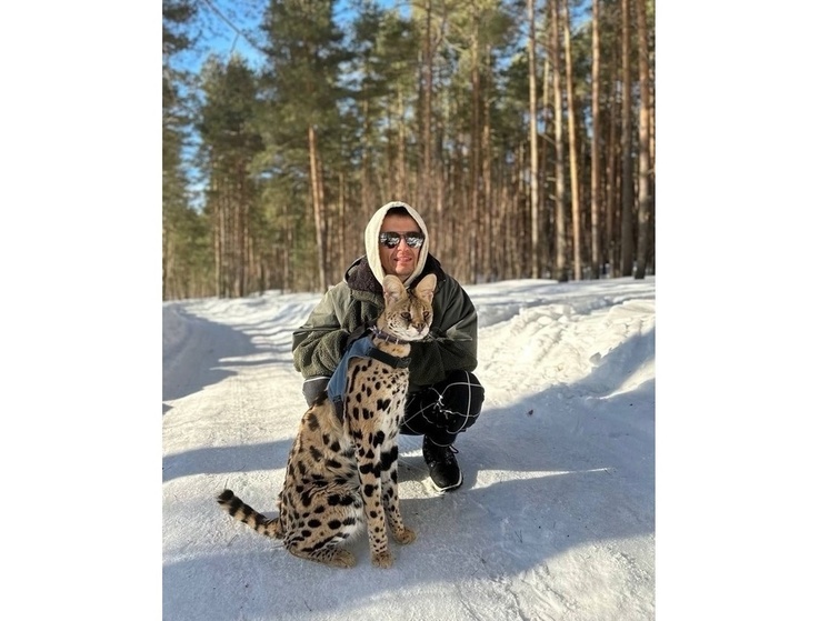 В Ярославле целый день искали сбежавшего мини-леопарда