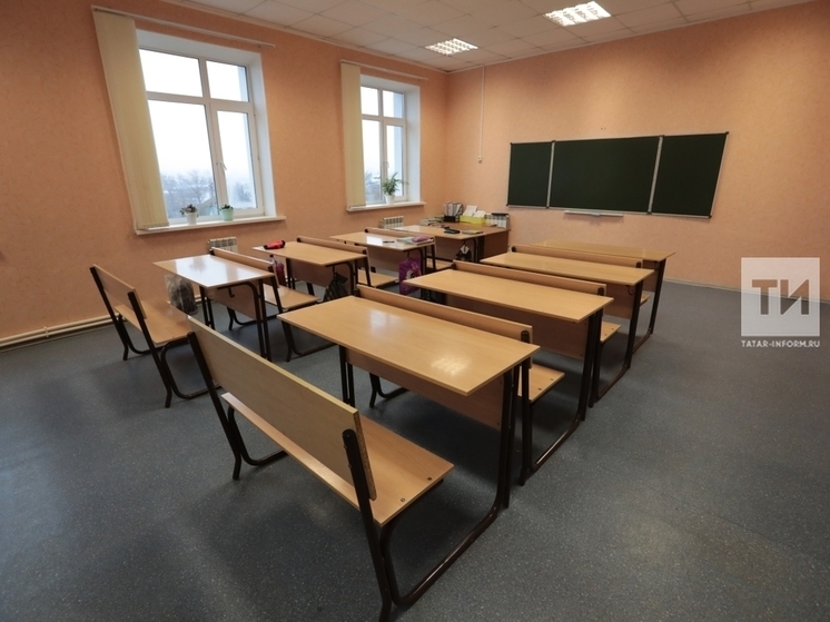 Татарстанские школьники в дни выборов перейдут на дистанционное обучение
