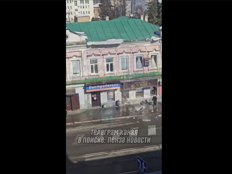 Пензенский Следком взялся за расследование дела о падении снега на горожанку