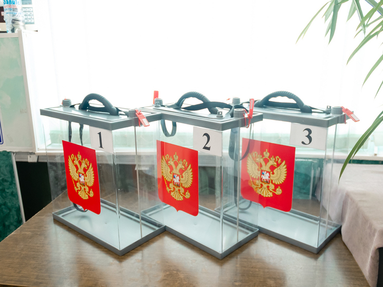 Утром 15 марта в Рязанской области открылись избирательные участки