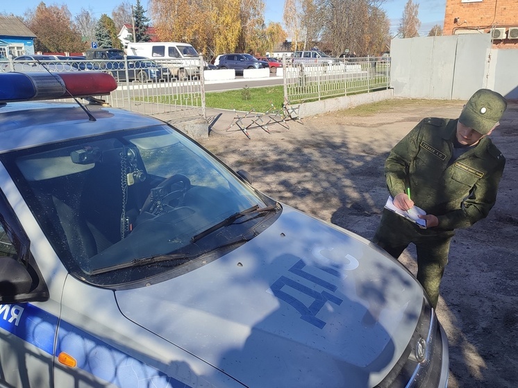 За нападение на полицейских брянец получил условный срок