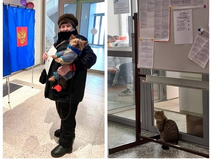 Жители Новосибирской области пришли на выборы с собаками и кошками