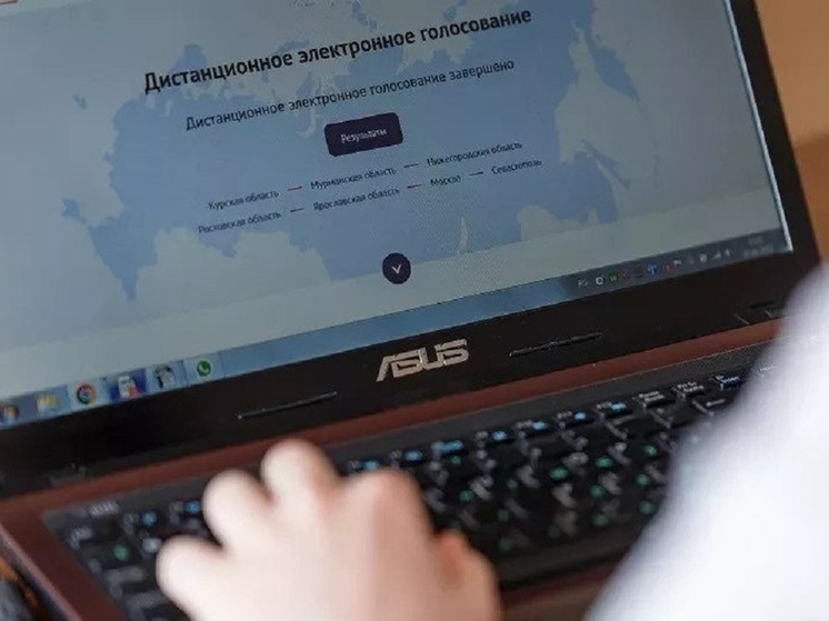 Явка на дистанционное голосование в Псковской области составила 20%