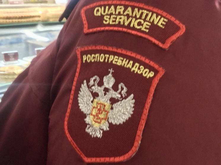 Алтайский Роспотребнадзор подвел итоги работы за 2023 год