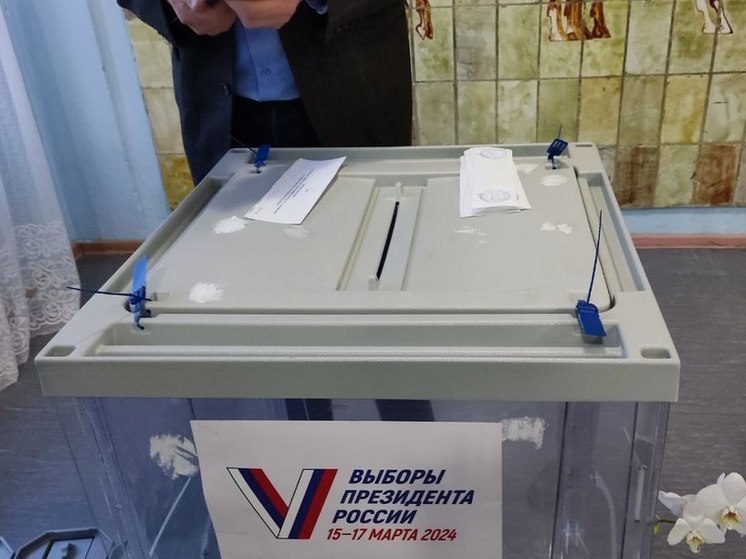 Мейксин прокомментировал появление QR-кодов на избирательных участках в Петербурге