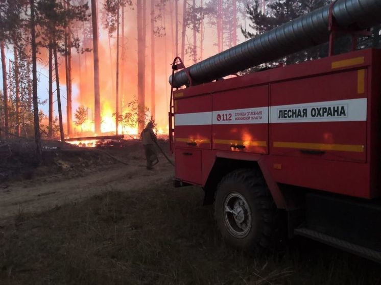 Более 400 работников лесхоза застраховали в Подмосковье